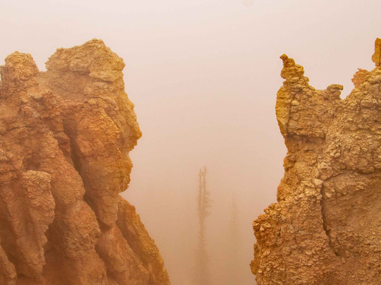 Yovimpa Point-布莱斯峡谷国家公园必去景点