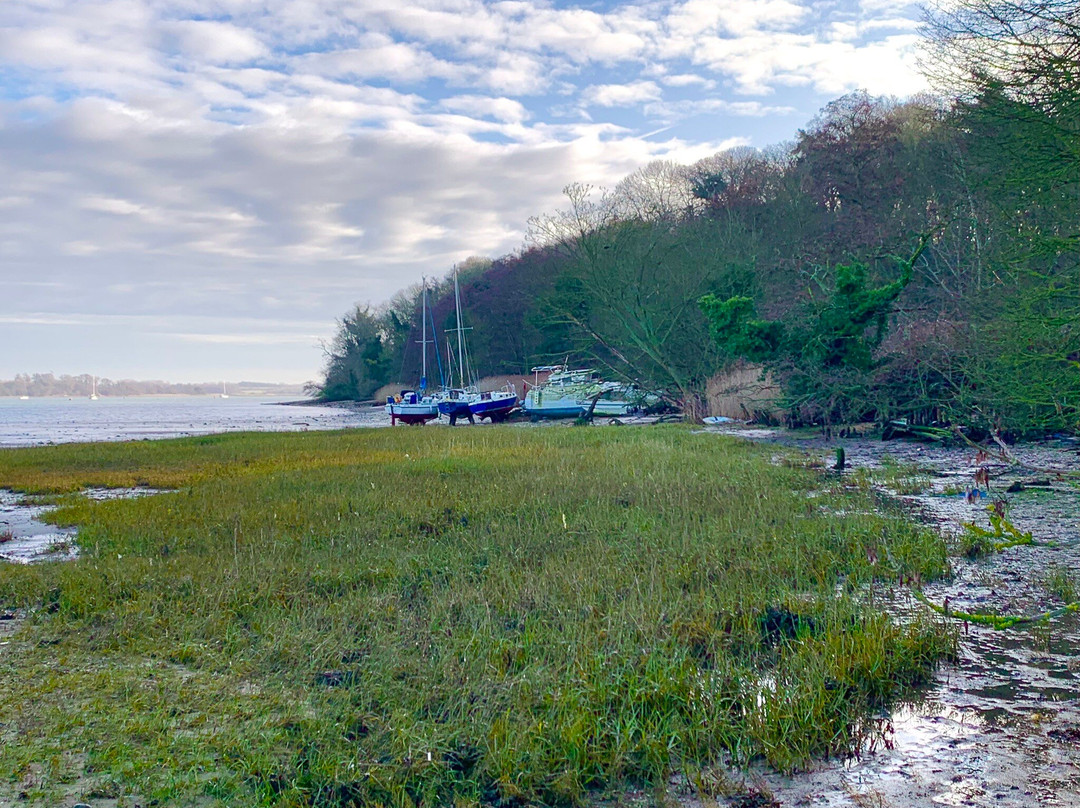 Pin Mill Wrecks-Pin Mill必去景点