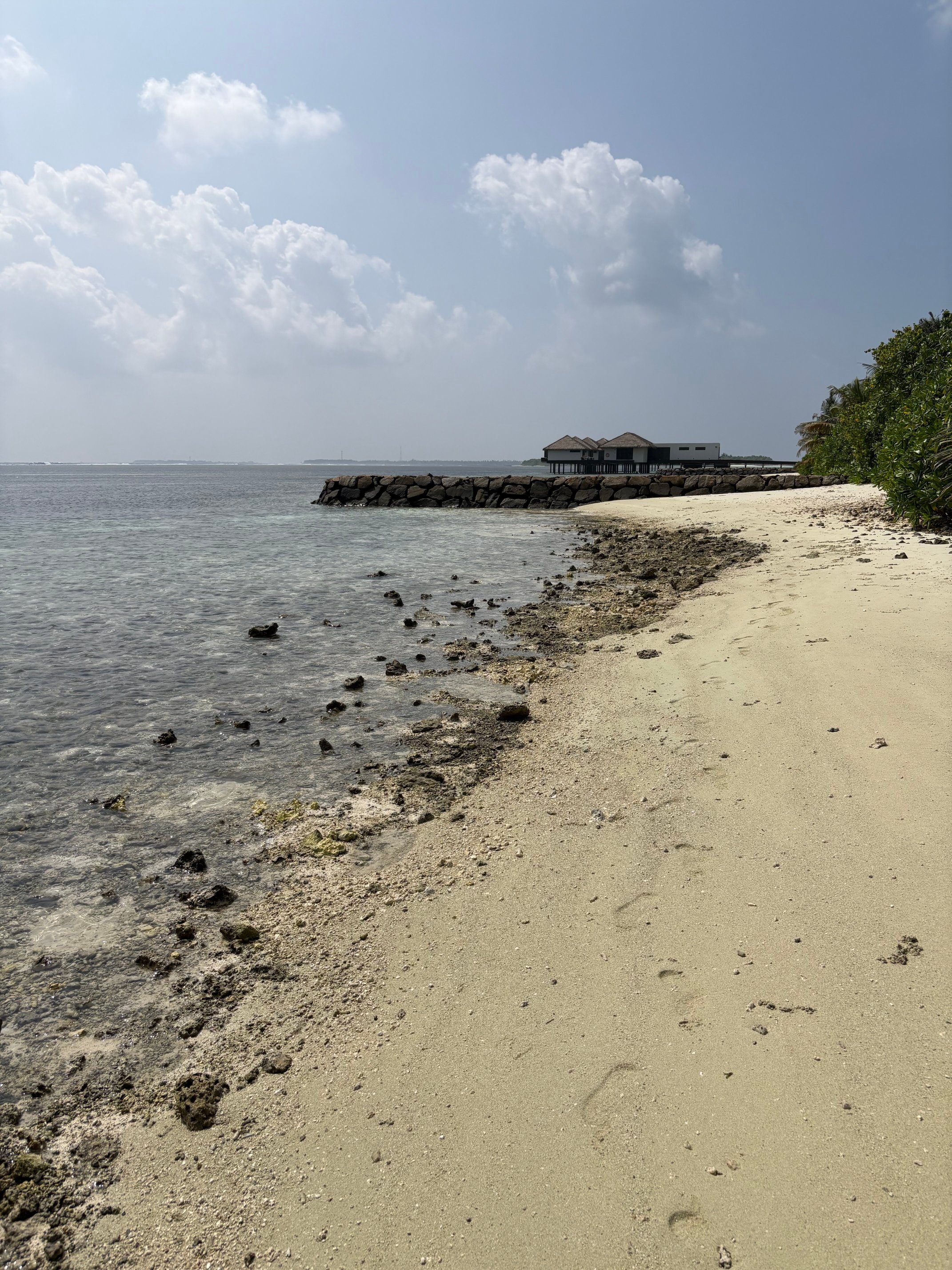 马尔代夫瑞僖敦度假村-泳池