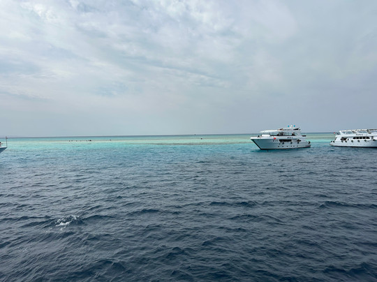 Cinderella Eldawley - Diving Center-沙姆沙伊赫必去景点