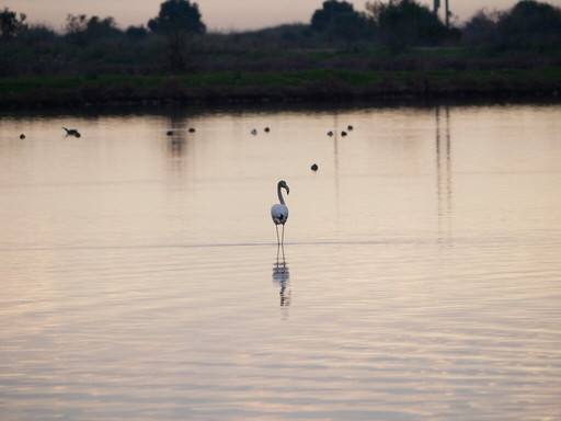 Greece Bird Tours-Marathon必去景点