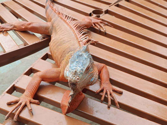 Fundera Park-Yelagiri必去景点