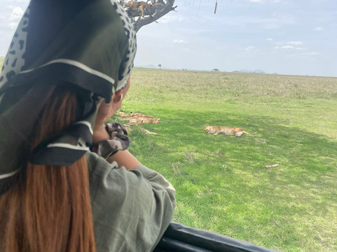 Cubs Expeditions Limited-阿鲁沙必去景点