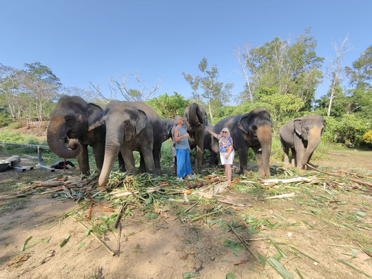 The Lake Phuket Elephant Home-Thep Krasatti必去景点