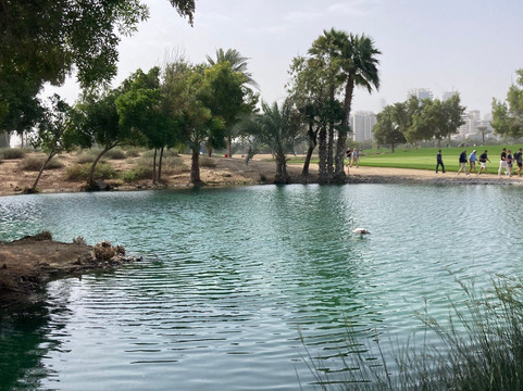 阿联酋高尔夫俱乐部-迪拜必去景点