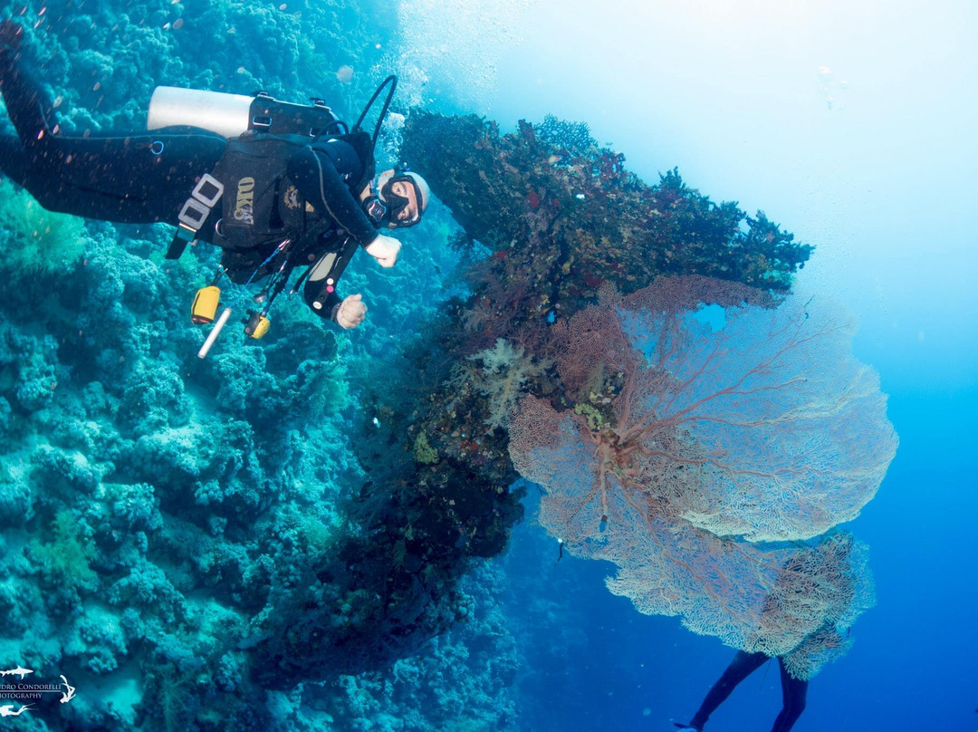 Sharm Scuba Service-沙姆沙伊赫必去景点