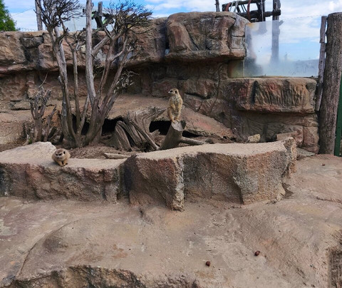 Mini ZOO Land-Slovenske Konjice必去景点