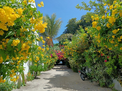 Kamadhoo Inn主图