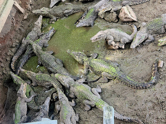 Havacubvision-巴拉德罗必去景点