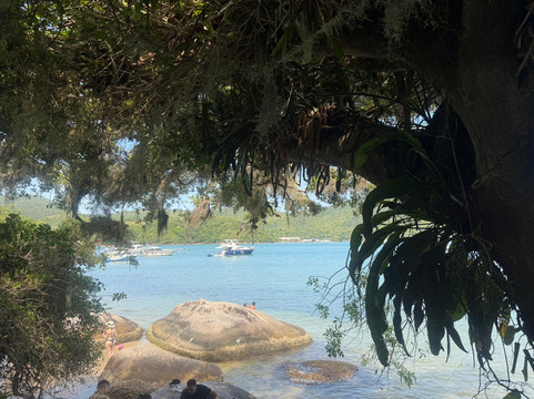 Ilha de Porto Belo-Porto Belo必去景点