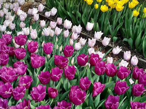 Grey's Court-泰晤士河畔亨利必去景点