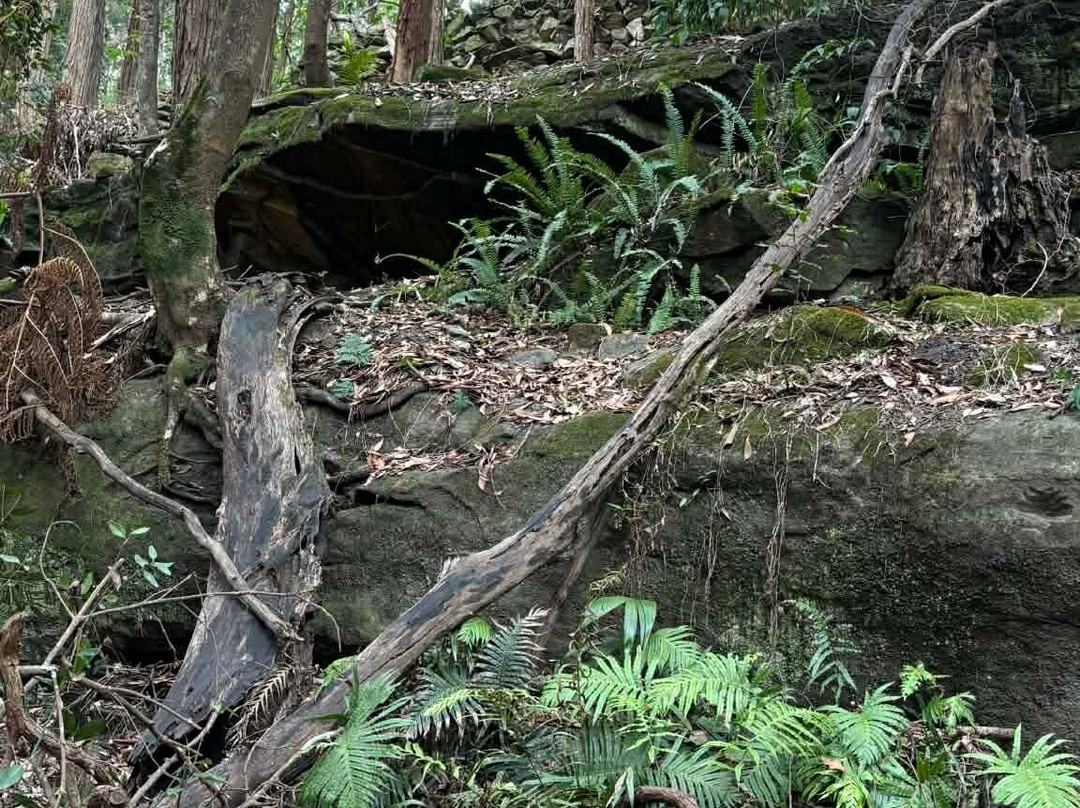 Stringybark Reserve