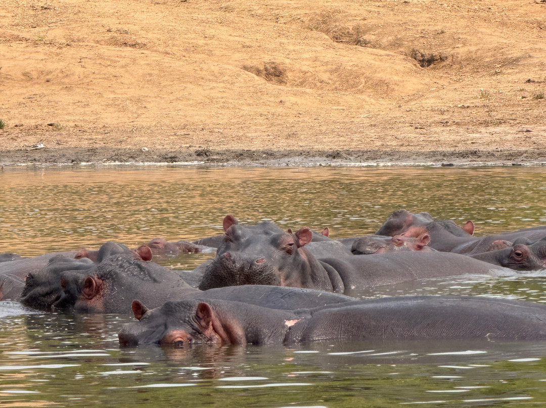 Kazinga Channel-伊丽莎白女王国家公园必去景点