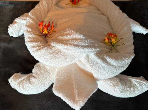 海龟湾小屋主图