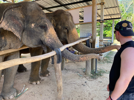 Lanta Island Elephant Lover