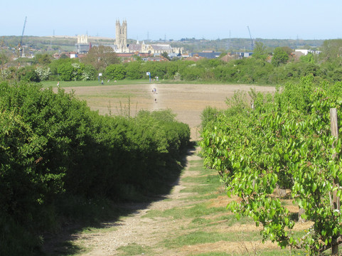 Canterbury Cathedral Panoramic Viewpoint-坎特伯雷必去景点