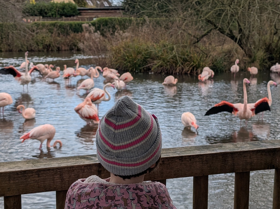 鸟园-水上伯顿必去景点