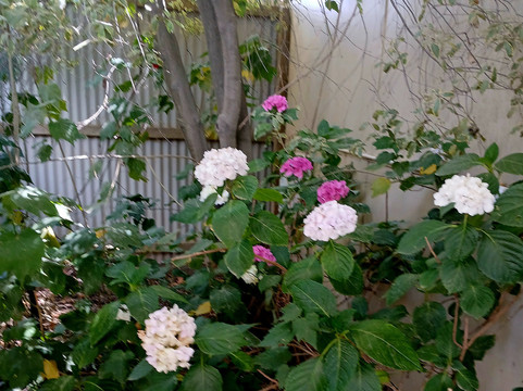 莫宁顿布鲁克兰酒店主图