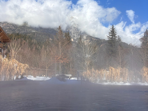 Naturhotel Forsthofgut主图