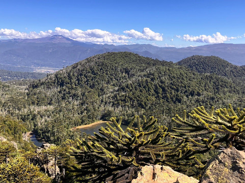 Santuario el Cañi-普孔必去景点