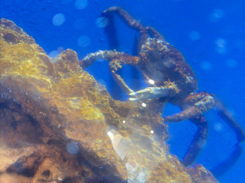 National Aquarium-圣多明哥必去景点