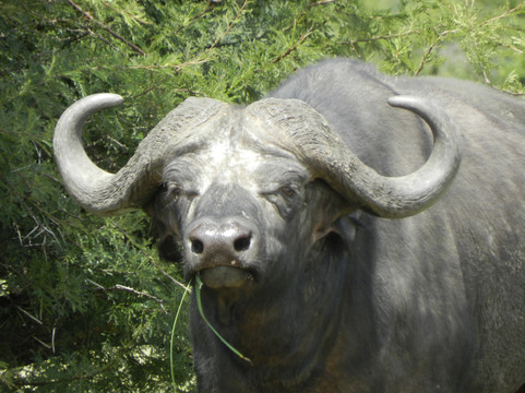 Zara Tanzania Adventures-莫西必去景点