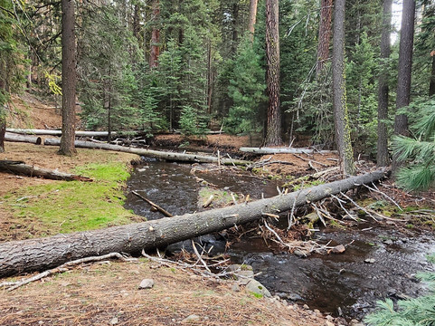 Super 8 by Wyndham Alturas主图