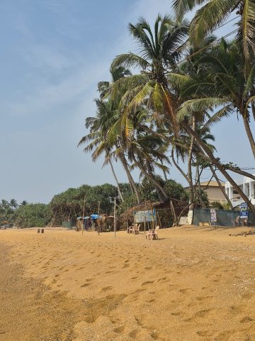 皇家棕榈滩大酒店-泳池