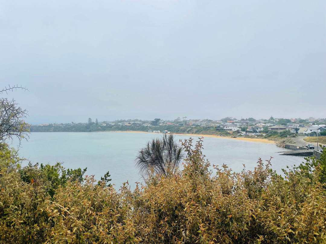 Linley Point-莫宁顿必去景点