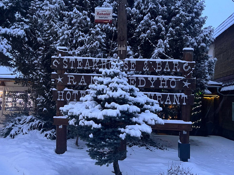 蓝艾迪霍酒店主图