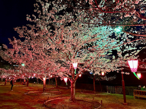 玉藻公园-高松市必去景点