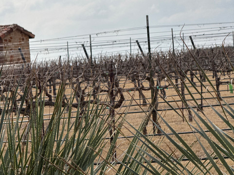 Heath Sparkling Wines Tasting Room-弗雷德里克斯堡必去景点