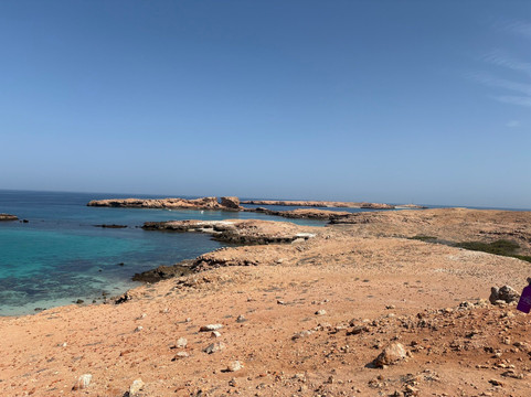 Daymaniat Shells-马斯喀特必去景点