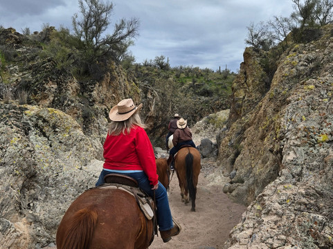 Arizona Horse Company-Wickenburg必去景点