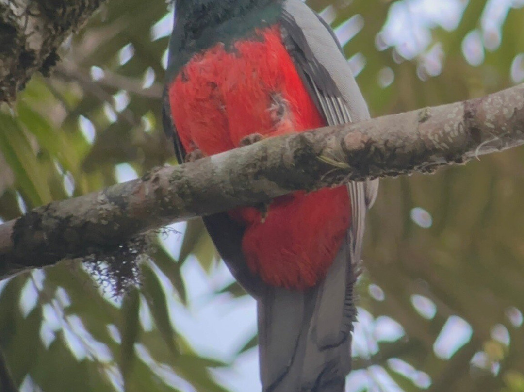Corcovado Guia Adventures with William Mora-德雷克湾必去景点
