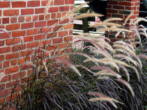 Hereford Inlet Lighthouse-怀尔德伍德必去景点