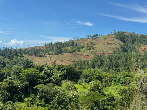 Zip Fiji-纳迪市必去景点