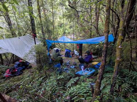 Franklin River Rafting-霍巴特必去景点