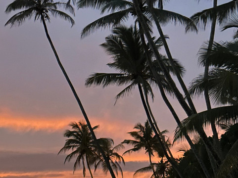 Come Visit Sri Lanka-康提必去景点