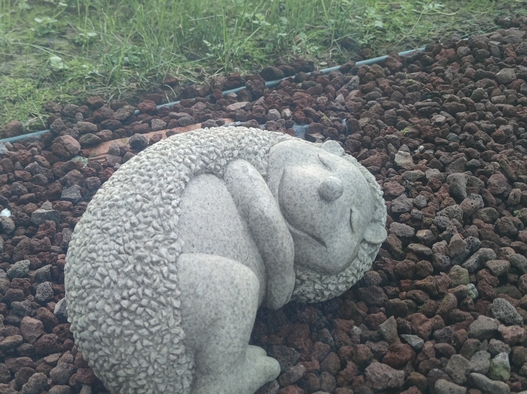 萨姆松希尔顿欢朋酒店主图