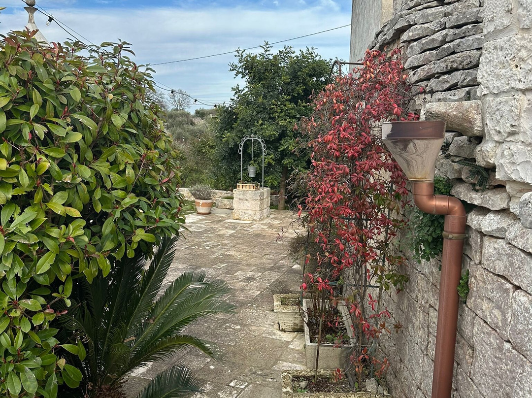 I Trulli di Pastore主图