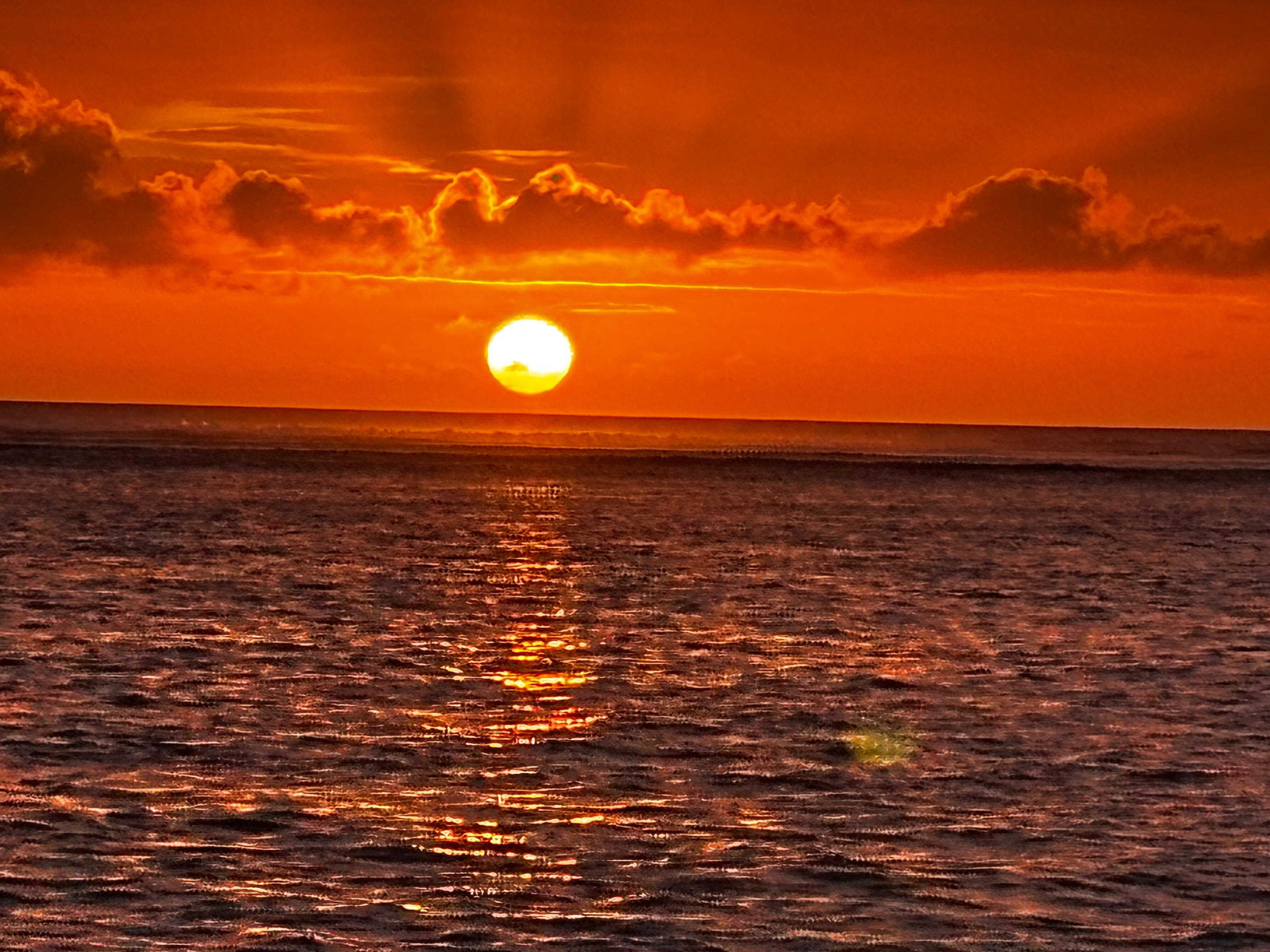 泰姬珍品度假村-官方