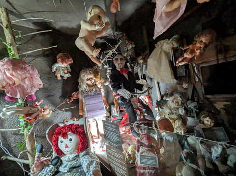 The Museum Of Curiosities-诺丁汉必去景点