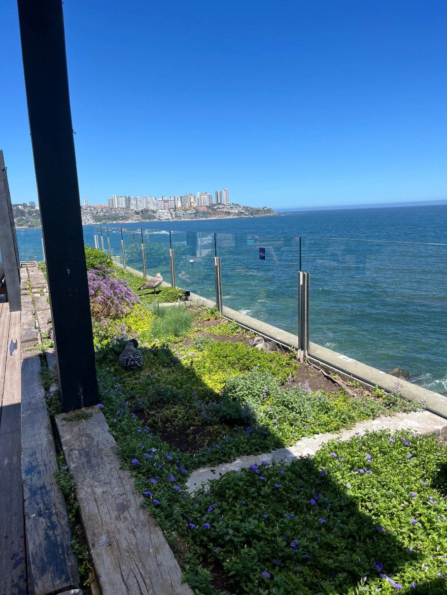 阿克奎雅康康丽笙蓝光水疗酒店-泳池