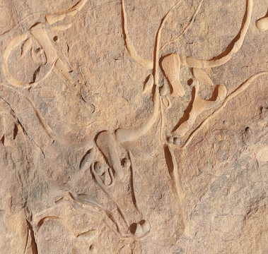 La vache qui pleure-Djanet必去景点