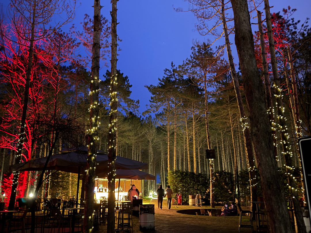 龙圈帐篷营地主图