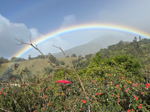 Mount Totumas Cloud Forest主图