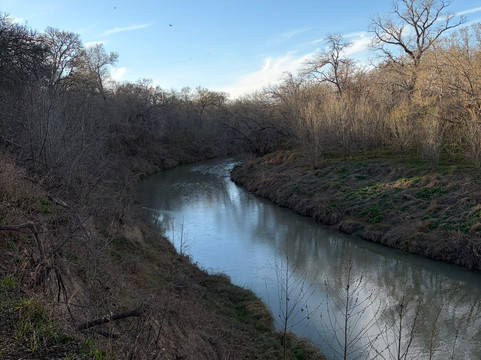 Palmetto State Park-Gonzales必去景点