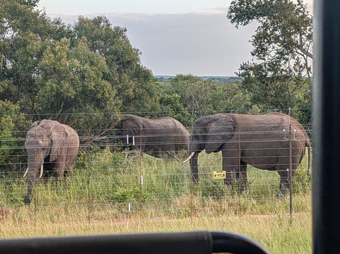 MoAfrika Tours-约翰内斯堡必去景点