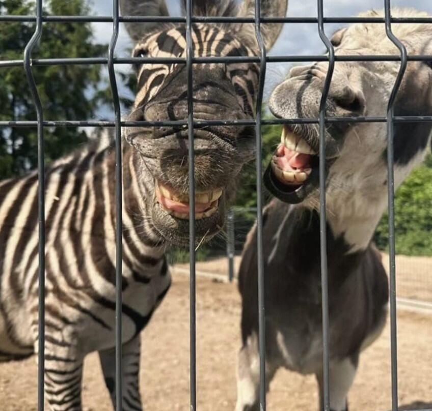 Podlaska Toskania-Suwalki必去景点